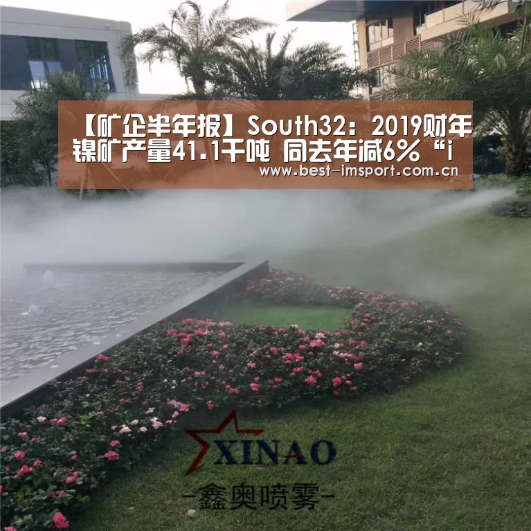【矿企半年报】South32:2019财年镍矿产量41.1千吨 同去年减6%“im体育投注”(图2) im官方