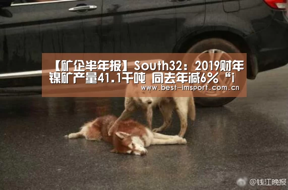 【矿企半年报】South32:2019财年镍矿产量41.1千吨 同去年减6%“im体育投注”(图4) im体育