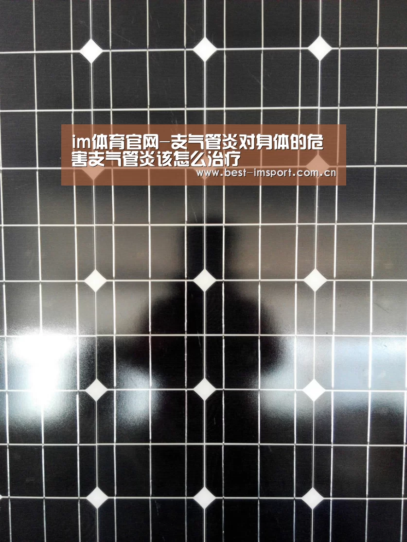 im官方