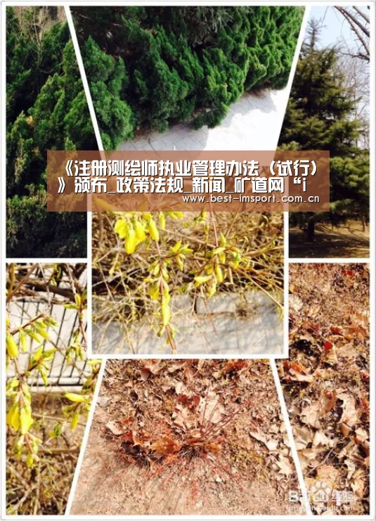 《注册测绘师执业管理办法(试行)》颁布_政策法规_新闻_矿道网“im体育官网”(图3) im体育官网