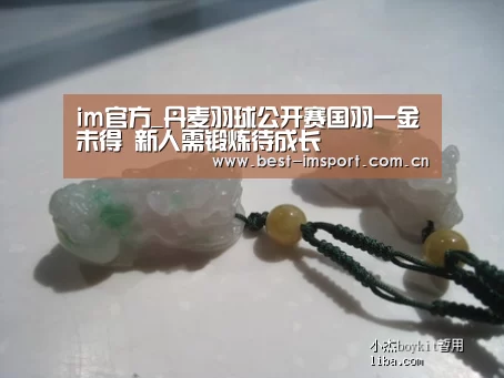 im官方_丹麦羽球公开赛国羽一金未得 新人需锻炼待成长(图2) im官方
