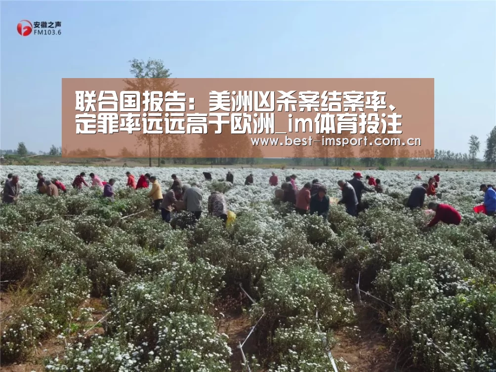 联合国报告:美洲凶杀案结案率、定罪率远远高于欧洲_im体育投注(图2) im体育投注